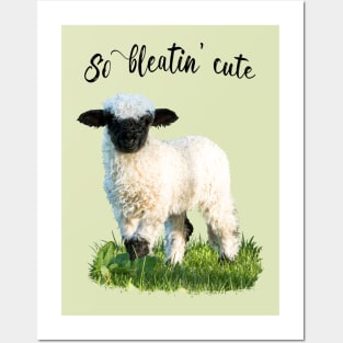 Valais Blacknose Lamb - So bleatin cute Posters and Art